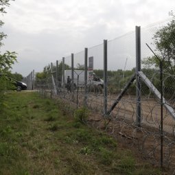 Réfugiés : en Hongrie, la course contre la montre