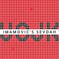 Blog • Damir Imamović, le sevdah ou l'art de la dialectique