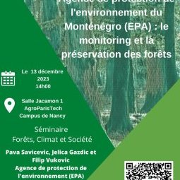 Agence de protection de l'environnement du Monténégro : le monitoring et la préservation des forêts