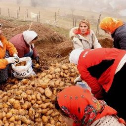 Albanie : quel avenir pour une meilleure agriculture ?
