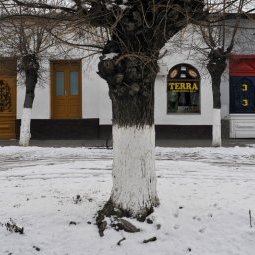 Élections en Serbie : la bataille de la Voïvodine