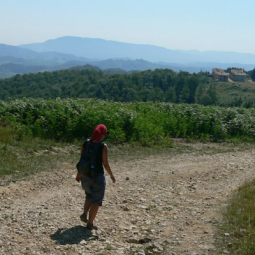 Le CdB, 25 ans d'histoire(s) | Srebrenica : la Marche de la mort, « une très belle expérience que je ne ferai jamais plus »