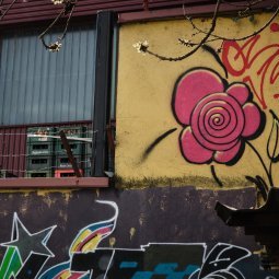 Bosnie-Herzégovine : quand les murs retracent l'histoire de Sarajevo