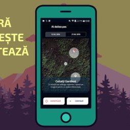 Roumanie : Greenpeace lance une application pour protéger les forêts