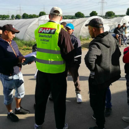 Roumanie : cueillir des asperges en Allemagne au temps du coronavirus