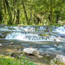 Bosnie-Herzégovine : la forêt de Janj bientôt inscrite au patrimoine de l'Unesco ?
