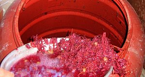 Albanie : ces artisans qui maintiennent la tradition du raki