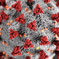 Les Balkans face à l'épidémie de coronarivus