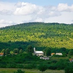 Croatie : en Krajina, le pillage généralisé des forêts