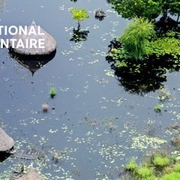 Cinéma : La vente secrète des juifs de Roumanie