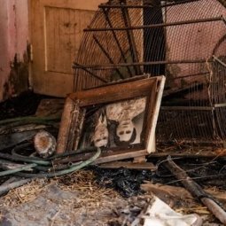 Kosovo : ces monuments historiques qui partent en fumée