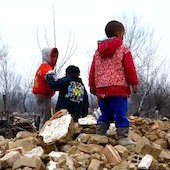 Roms en Serbie : expulsion de la honte à Belgrade
