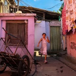 Serbie : le SNS fait marcher les minorités nationales à sa botte