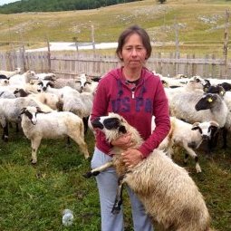 Monténégro : Slavka Adžović, la dure vie d'une bergère rom