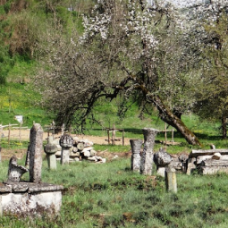 Bosnie-Herzégovine : un « tas de cailloux » peut cacher un trésor archéologique