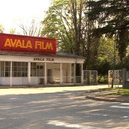 Serbie : l'équipe de « Cinema Komunisto » veut sauver le mythique studio yougoslave Avala Film