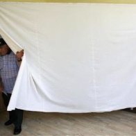 Élections législatives en Bulgarie : 58.000 citoyens bulgares pourront voter de l'étranger