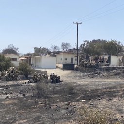 Revue de presse | Grèce : les incendies, « une tragédie attendue »