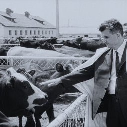 Documentaire | La vente secrète des juifs de Roumanie