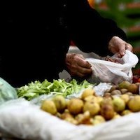 Croatie : pour sauver l'agriculture familiale, il faut manger local !