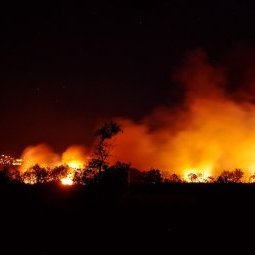 Sécheresse et canicule : la Macédoine est ravagée par les flammes