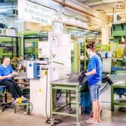 Roumanie : dans le Banat, les entreprises manquent de main-d'œuvre