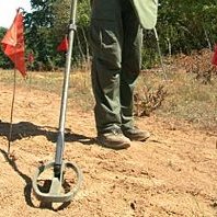 Plus de 1000 mines antipersonnel trouvées cette année en Bosnie