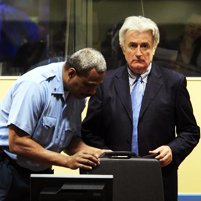 TPI : coup de théâtre au procès Karadžić