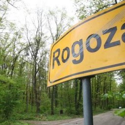 Slovénie : ce village qui se mobilise pour défendre sa forêt