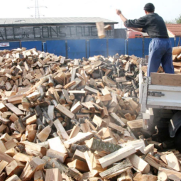 Balkans : hausse des prix et pénurie de bois, l'hiver sera rude