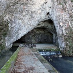 Archéologie en Serbie : le trésor de la grotte de Petnica