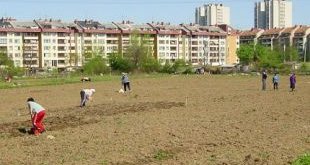 Bosnie-Herzégovine : pour faire la paix, il faut cultiver son jardin