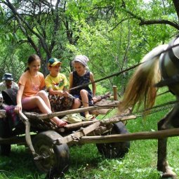Les eaux-delà du Danube. Etudes d'ethnologie balkanique