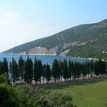Monténégro : peut-on privatiser les oliviers de la baie de Valdanos ?