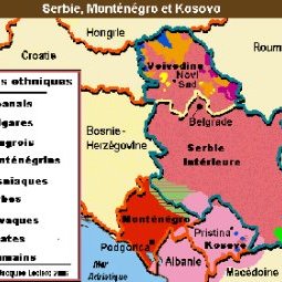 Serbie : les minorités nationales ont élu leurs représentants malgré des irrégularités