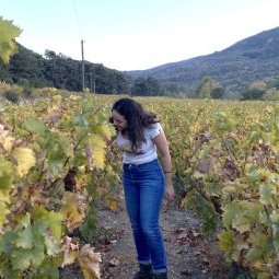 Grèce : une nouvelle génération de femmes se met à faire du vin