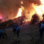Macédoine : la région de Dojran en proie aux flammes