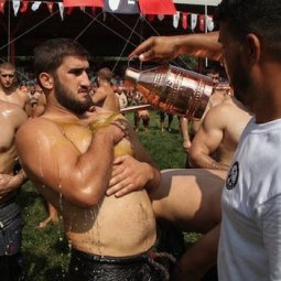 Diaporama | Turquie : au tournoi de Kırkpınar, de l'huile, de la lutte et de la sueur