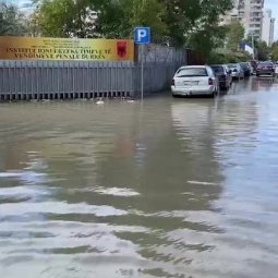 Inondations en Albanie : l'incurie des politiques nourrit la colère