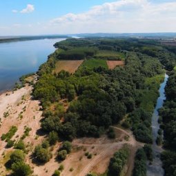 Danube, le fleuve des utopies (2/3) | En Bulgarie, l'espéranto est aussi une île