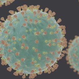 Coronavirus : les Balkans à l'heure des fake news