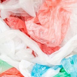 Kosovo : que faire contre la prolifération du plastique ?