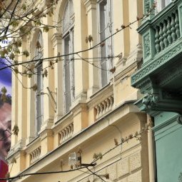 Élections en Serbie : Comment Vučić fait main basse sur la Voïvodine