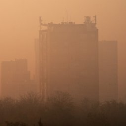 Pollution : en Serbie, même les masques de protection respiratoire ne suffisent plus