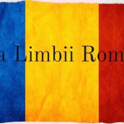 Roumanie : la langue, l'identité nationale et le lien avec la diaspora