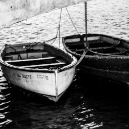 Blog • Entre New York et le delta du Danube, deux destins pour une traversée du siècle