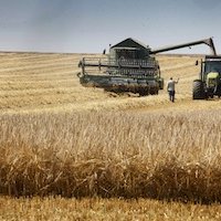 Terres agricoles en Roumanie : champ libre à la spéculation