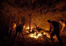 Macédoine : brûler l’arbre qui cache la forêt