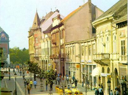 Après le Kosovo, autonomie territoriale pour les Hongrois de Voïvodine ?