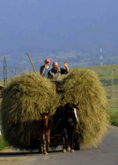 Roumanie : la grande misère du monde rural